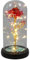 Shudehill Giftware Radiant Rose Flower LED Dome Decoraive Mood Light with Fairy Lights - Red, Pink, Purple, Irridescent with Black Base (Red)