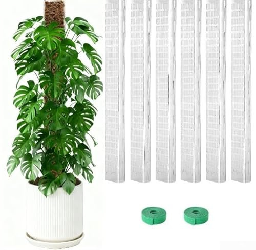 Lot de 6 poteaux en plastique en forme de D pour plantes grimpantes d'intérieur nécessitant un cadre vertical fiable pour le développement