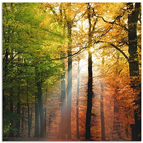 ARTland Wanddeko Wandbild Alu Verbundplatte für Innen & Outdoor Bild 40x40 cm Natur Landschaft Wald Herbst Sonne Bäume Landhaus T5VL