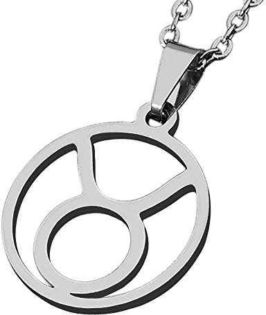 ZENSE - Collier zodiaque pour homme, diamètre 2 cm, avec chaîne