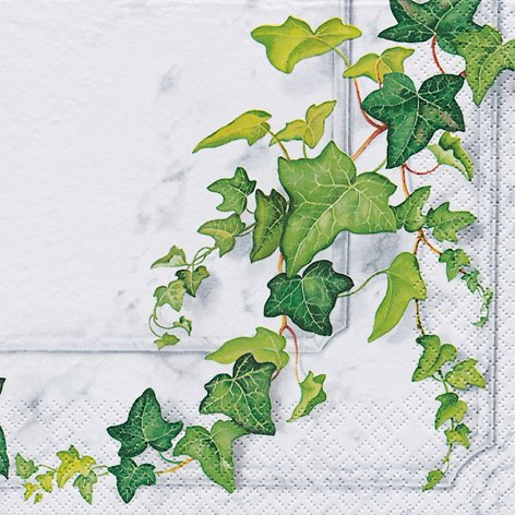 20 Servietten Efeuranke/für Verschiedene Anl?sse/zur Kommunion/Konfirmation/Taufe 33x33cm