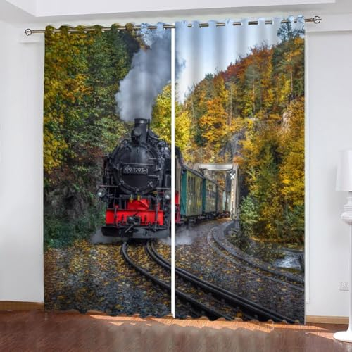 MEVASA Gardinen Zug Verdunklungsvorhänge Wohnzimmer Schlafzimmer Kinderzimmer Mädchen Jungen 3D Polyester Dampflokomotive Vorhänge Ösen 150 x 166 BxH