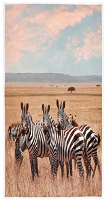 BKEOY Badetuch Zebra Afrika Wildlife Handtuch Strandtücher