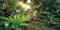 MIRRORANG 91x41cm Forêt Profonde Terrarium Fond Soleil Plantes Tropicales Arbres Aquarium Fond forêt Tropicale Reptile Habitat Fond Vinyle