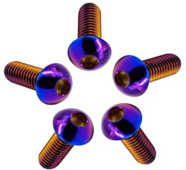 RISON 5 Stück Titan Linsenkopfschrauben mit Innensechskant M6x15mm, Vollgewinde Halbrundkopfschraube aus Titan GR5, Flachkopfschraube Linsenschraube Knopfschraube Rundkopf Schrauben