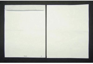Versandtaschen Tyvek 305x394mm 54g/qm haftklebend VE=100 Stück weiß