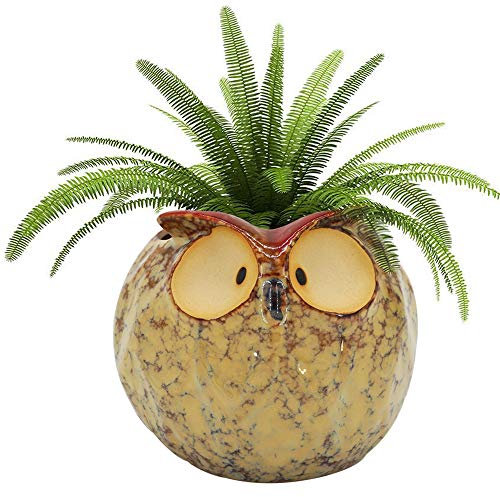 GeLive Owl Planter Ceramic Succulent Plant Pot Fun Animal Flower Container Decoration Tabletop Decor Windowsill Box with Drainage Hole Plug (Fat Owl Planter)