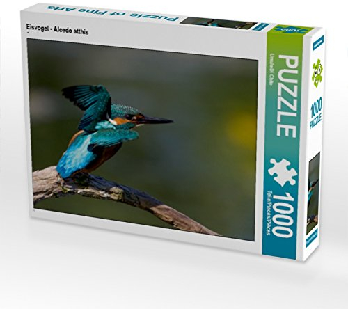 CALVENDO Puzzle Eisvogel - Alcedo atthis 1000 Teile Puzzle quer | 1000 Teile Lege-Größe 64 x 48 cm Foto-Puzzle für glückliche Stunden