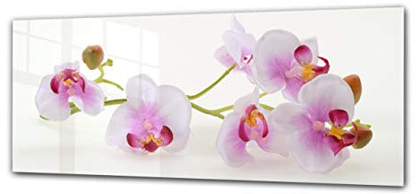 ConceptCrystal Impression sur Verre d’Art Mural Tableau Peint 125 x 50 cm –Fleur 25