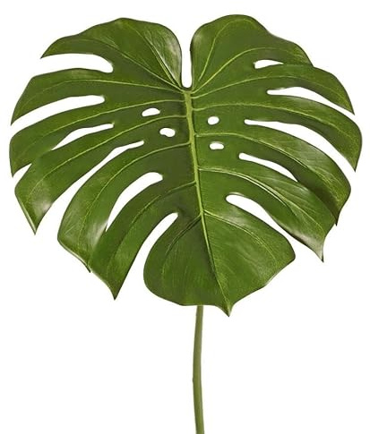artplants.de Deko Blatt Philodendron Monstera Deliciosa THALWIL, 60cm | Kunstpflanzen Blatt