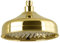 PaulGurkes Kopfbrause Gold Retro Nostalgie Regenbrause Brausekopf 20cm