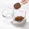 Gamelle Chat Surélevée Gamelles Chat Inclinée Anti Vomissement pour Chatons Double Bol pour Chat en Plastique Transparent