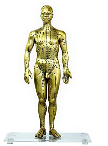 LBYLYH Kupfer Reiner menschlicher Körper Meridian Akupunkturpunkte Modell Bronze Akupunktur Akupunktur Modell Kupfer Personen 50 cm