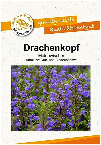 Blumensamen Drachenkopf Moldawischer Portion