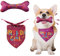 Hundebandana & Hundehalstuch für Geburtstag - Knochenspielzeug mit Hund, Geeignet für kleine, mittlere & große weibliche Hunde & Katzen