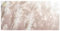 ARTland Wanddeko Wandtattoo selbstklebende Vinylfolie 100x50 cm Pflanzen natural elements Gräser Pampasgras im Sonnenlicht Boho Deko U5GP