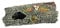 CIYODO Realistische Toten Baum Unterwasser Harz Statue Fisch Tank Versteckt Baum Aquarium Ornament