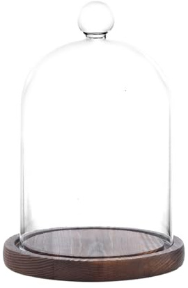 REFSAVER Glass Dome with Base,Glass Cloche Bell Jar,Display Case with Wooden Base for Plants,Collectibles (4.7 * 6.3 inches)