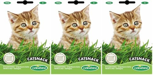Germisem Catsnack Semi di Erba per Gatti 10 g (Confezione da 3)
