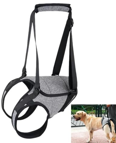 GYWHOOFT XL Imbracatura per cani di taglia grande, 26 a 40 kg imbracatura per sollevamento per zampe posteriori di supporto per aiutare a riabilitare gli arti posteriori di cani anziani