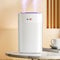 acfeco Luftbefeuchter für Große Räume, Humidifier Schlafzimmer 1.3L, Raumbefeuchter mit 7 Farben Nachtlicht, Diffuser Luftbefeuchter, Automatische Abschaltung, für Kinderzimmer Schlafzimmer