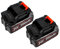 Batería de 24 V (ion de litio, 21 V, 2 baterías de 2000 mAh), inalámbrica, eléctrica, recargable, para motosierra de 4/6 pulgadas, compatible con otros dispositivos eléctricos pequeños