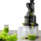 ylpddmm Extracteur de Jus Whole Slow juicer, Centrifugeuse Fruits,Moteur Silencieux,80 MM Large Bouche, jus Frais et sain, Sorbet, crème glacée, Moteur de qualité Commerciale(Argent)