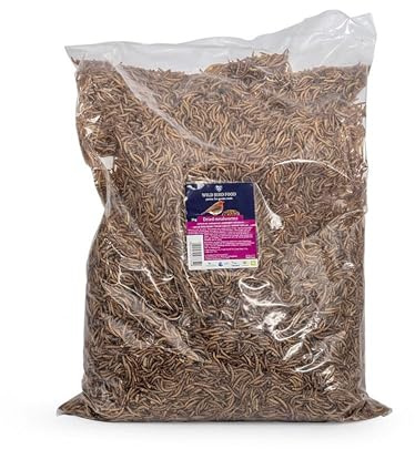 CJ Wildlife Mehlwürmer getrocknet 2kg – Mehlwürmer Vogelfutter – Wildvogelfutter Ganzjährig – Eiweißreich für Muskeln und Federwachstum