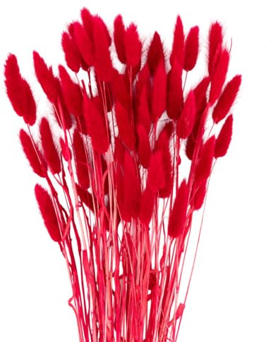 PuntoCasaStore Mazzetto Fiori Artificiali Coda di Topo 60 Pz Steli Decorativi per Bomboniere 2026 Segnaposto Composizioni Floreali Fai da Te Decorazioni Eventi Matrimonio (Rosso)