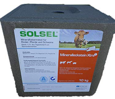 Solsel Mineralleckstein Extra (mit Kupfer) 10kg