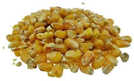 CommonBaits HARTMAIS 2,5Kg gelber Mais Corn
