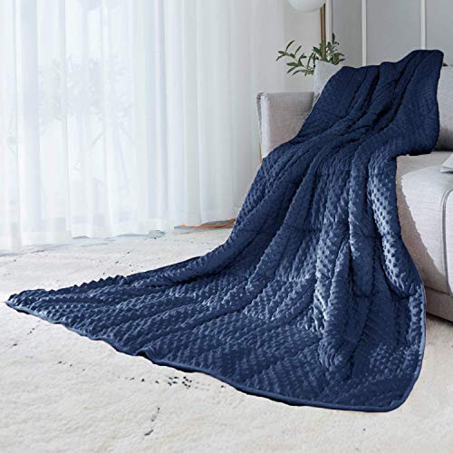 ALANSMA Gewichtete Decke für Erwachsene, Minky-Samt, warm, Luxus-Designer-Decke, genießen Sie überall hochwertigen Schlaf (Blau, 91,4 x 122,9 cm, 2,3 kg)
