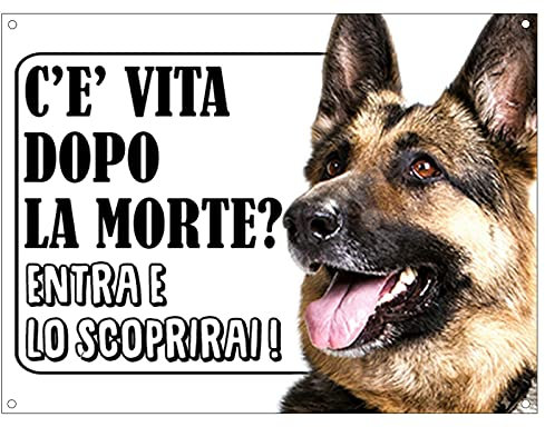 CARTELLO ATTENTI AL CANE - PASTORE TEDESCO c'è vita dopo la morte, entra e lo scoprirai - Con Adesivo in Vinile e Pannello in Forex (Pannello 5mm Stampato)