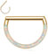 Gerader Stab Septum Nasenring Gold Septum Schmuck 16G Septum Ring Opal Daith Ohrringe Chirurgenstahl Halbkreis Rook Conch Helix Hoop Earring Higned Segment Tragus Knorpel Piercing Schmuck 8mm