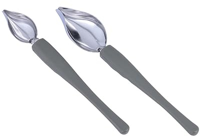 Alipis Stainless Steel Sauce Spoon Set 2 Pcs Culinary Decorating Spoon for Plate Sauce Painting and Dessert Decoration for Chefs and Home Cooks