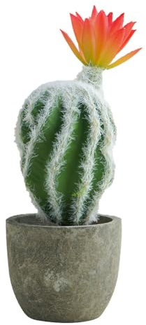 Airbirhom Plantas artificiales de cactus, en maceta, pequeñas plantas de cactus sintéticas, decoración de interiores para el hogar, oficina, cocina, sala de estar, escritorio, estante (flor naranja)
