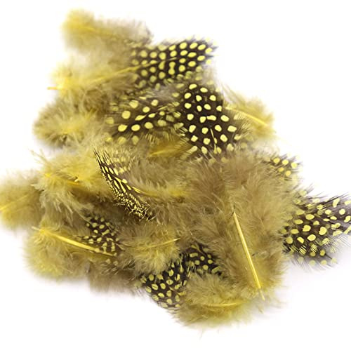 Blausky 100 Stück Natur Federn zum Basteln,Ostern Deko Federn Hühnerfeder Perlhuhnfedern Natur Verzierungsfedern Bunte Bastelfeder für DIY Traumfänger Karneval Masken Halloween Kranz 4.5-10cm,Gelb
