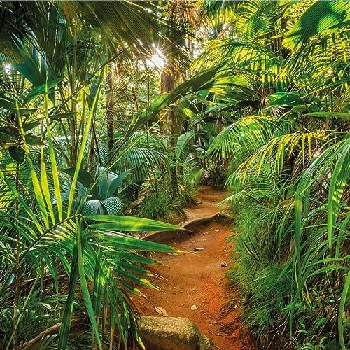 Komar Fototapete | JUNGLE TRAIL | 368 x 254 cm | Tapete, Wand Dekoration, Urwald, Dschungel, Tropen, Landschaft, Regenwald, Wohnzimmer, Schlafzimmer | 8-992