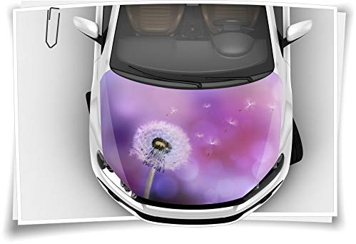 Medianlux Puste-Blume Löwenzahn Lila Motorhaube Auto-Aufkleber Steinschlag-Schutz-Folie Airbrush Tuning Car-Wrapping Luftkanalfolie Digitaldruck Folierung