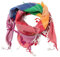 ROCK DADDY Estd 2000 ROCK HARD CLOTHING Halstuch Kopftuch Shemagh Palituch Taktischer Arabischer Arafat Schal Dreieckstuch Palästinenser PLO 100% Baumwolle (Regenbogen)