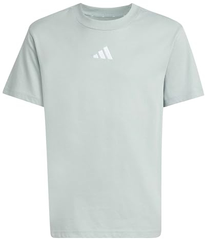 adidas Unisex Kids Essentials T-Shirt, Wonder Sage/White, 11-12 Years