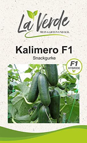 Kalimero F1 Gurkensamen