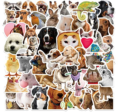 AUCEKO 50 Stück Lustige Tiere Aufkleber Pack Funny Animals Sticker Set wasserdichte Vinyl Sticker für Laptop Kinder Autos Motorrad Fahrrad Skateboard Gepäck Koffer Computer Aufkleber Graffiti Decal