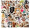 AUCEKO 50 Stück Lustige Tiere Aufkleber Pack Funny Animals Sticker Set wasserdichte Vinyl Sticker für Laptop Kinder Autos Motorrad Fahrrad Skateboard Gepäck Koffer Computer Aufkleber Graffiti Decal