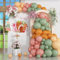 HILAVO Palloncini verde salvia e rosa arco retrò rosa polvere verde oliva arancione bruciato beige palloncini ghirlanda per ragazze Boho Woodland Baby Shower fata floreale giungla safari Pasqua