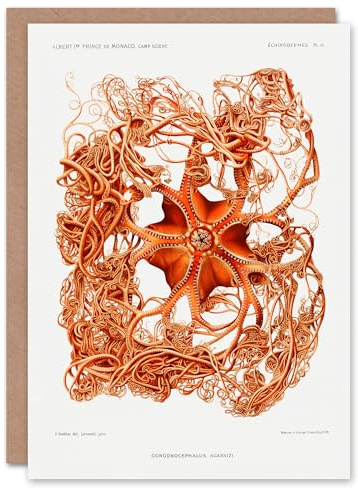 Artery8 Vintage Marine Life Art Card Deep Sea Basket Star Starfish