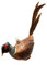Hamburger WEIHNACHTSKONTOR®- Außergewöhnlicher Christbaumschmuck -Vogel Fasan