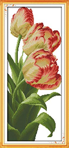 OWN4B Kreuzstich Stickpackungen Vorgedruckt, Tulpe Bilder 11CT 13,4x27,6 Zoll DIY Stickpackung Set