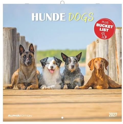 Hunde 2027: Wandkalender 30x30 cm (30x60 cm geöffnet) mit Notizkalendarium, 12 Hundefotografien und Bucket-List
