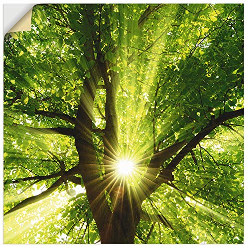 ARTland Wanddeko Wandtattoo selbstklebende Vinylfolie 50x50 cm Baum Sonne Botanik Zweige Sonnenstrahlen Sommer Wald T5GQ